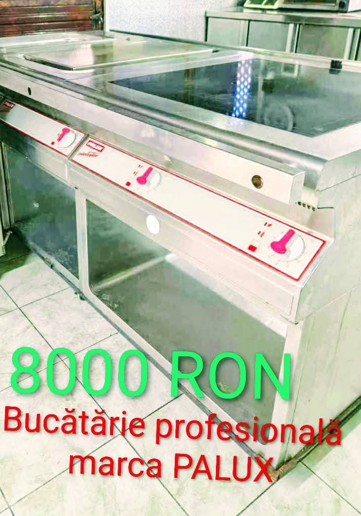 Bucatarie profesionala