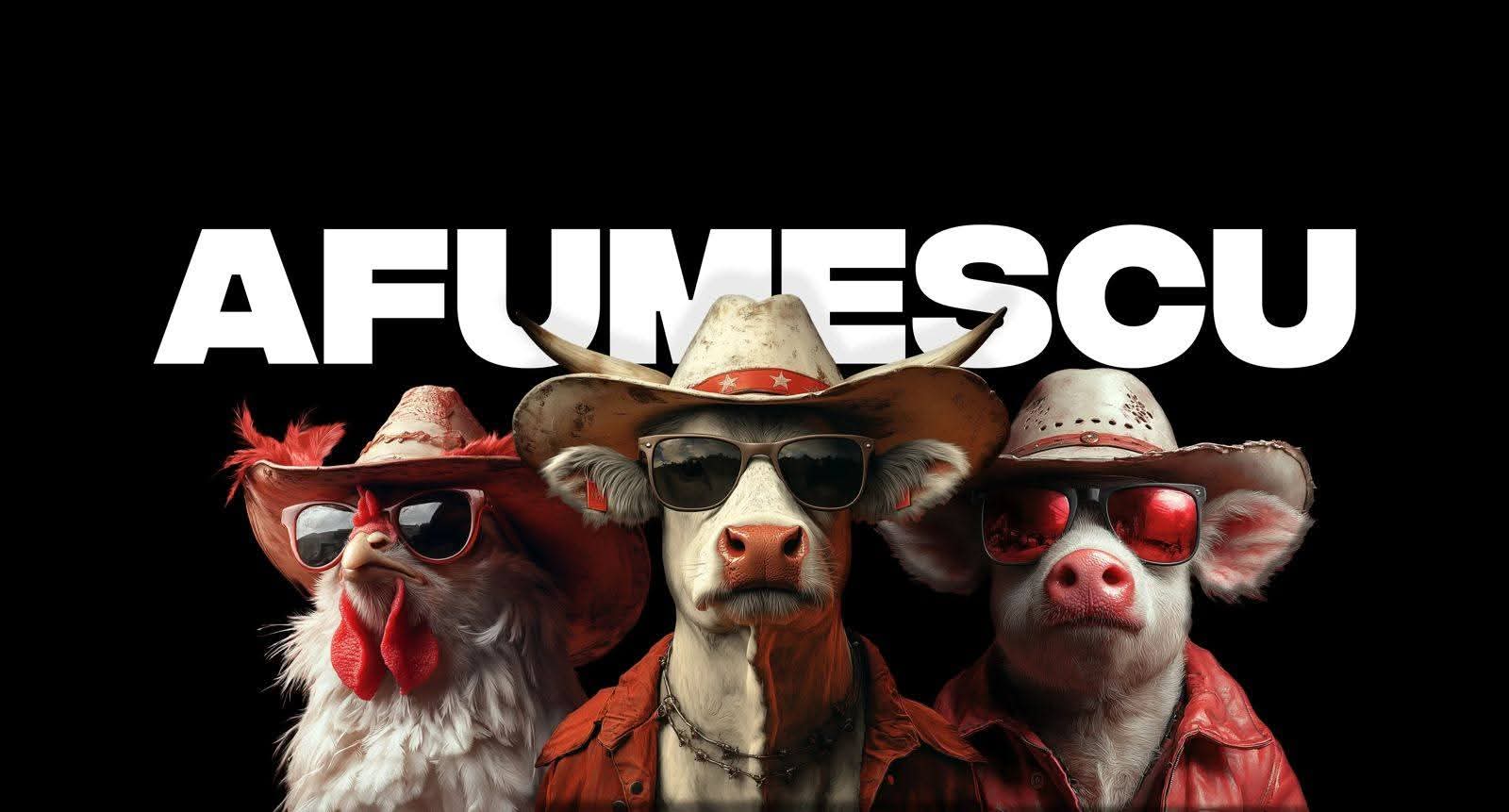 Preluare business horeca