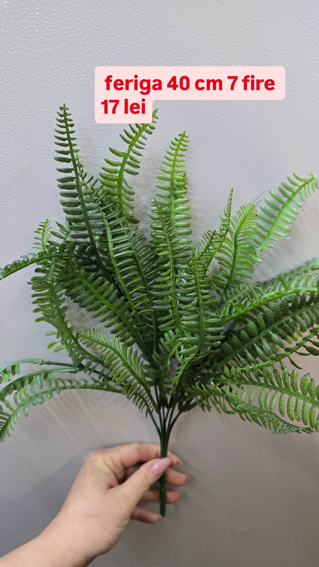 Decoratiuni hotel, cafenea, restaurant - Imagine 6