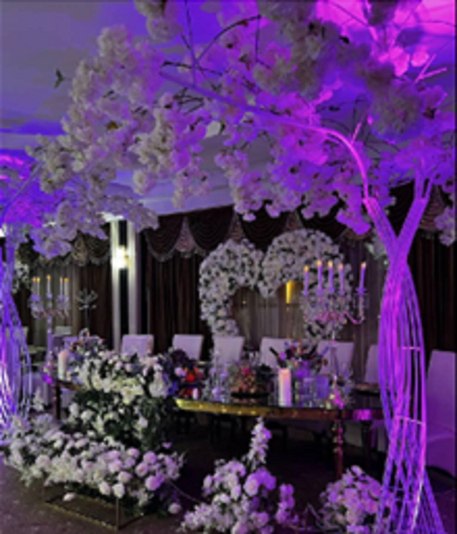 Restaurant & Ballroom – CASA LUMINITA -  București |  2000mp | 5 saloane | 500 locuri - Imagine 2