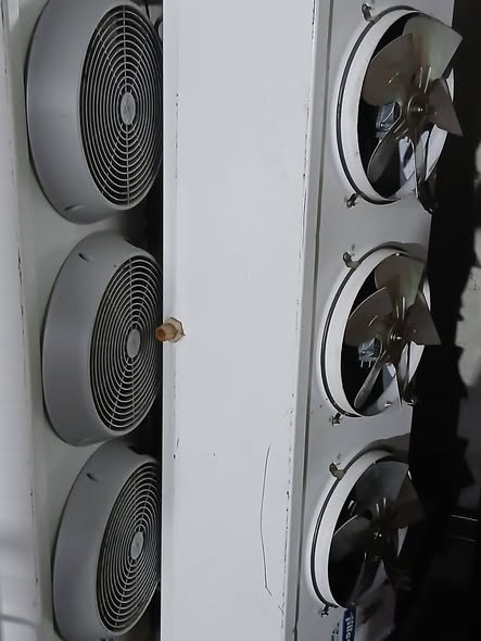 Camere frigorifice profesionale pentru refrigerare si congelare – camere frigorifice modulare HoReCa - Imagine 3