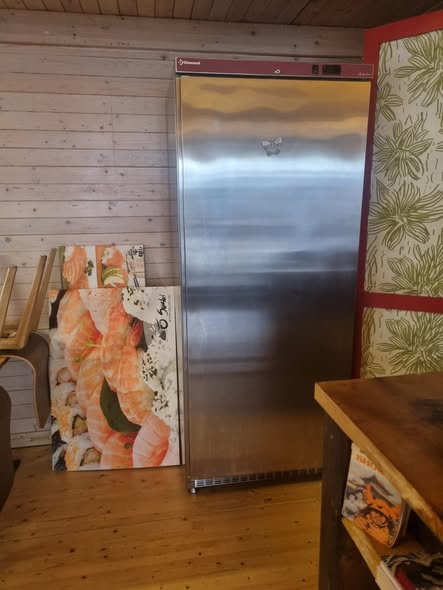 Congelator vertical  inox Diamond