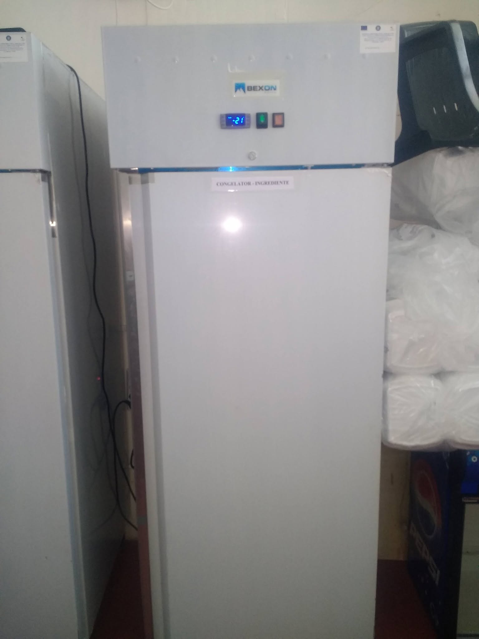 Dulap Frigorific Profesional BEXON pentru Restaurante, Pizzerii si Laboratoare Alimentare frigider - Imagine 2