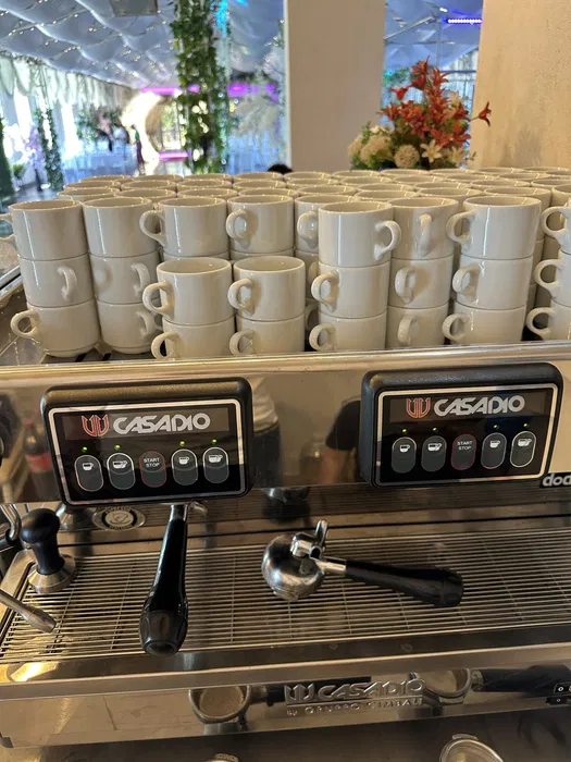 Expresor cafea profesional cu 2 grupuri, boiler 10.5 litri, revizionat complet , cesti - Imagine 4