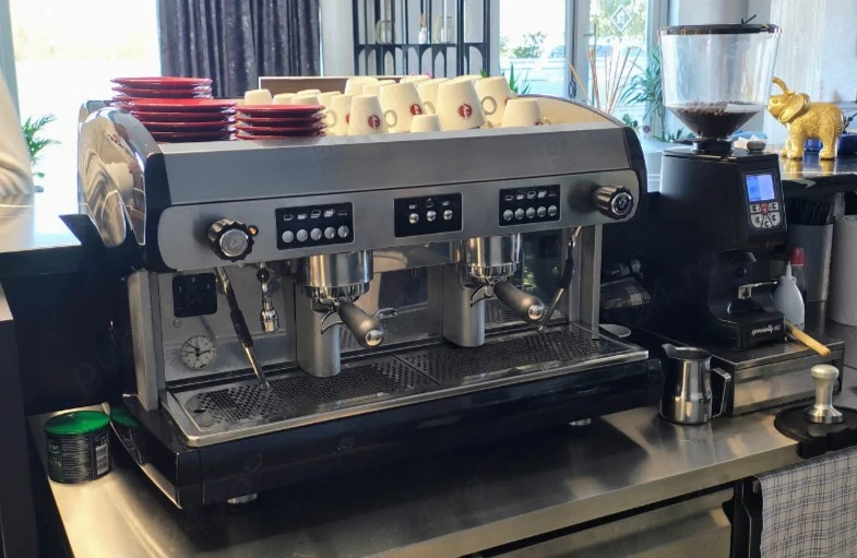 Expresor Cafea Profesional WEGA 2 Grupuri Revizionat – Ideal pentru Cafenea, Bar si Restaurant
