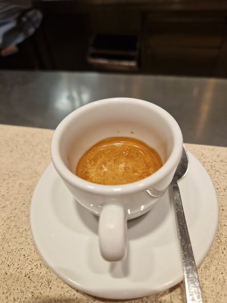 Espressor de Lux Faber - Aparat de Cafea Premium Fabricat in Italia - Imagine 3
