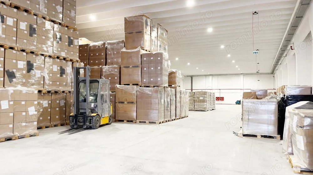 Hala industriala de inchiriat Arad - 1.171 mp pentru productie, depozitare si logistica HoReCa - Imagine 3